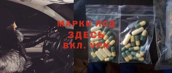 гашик Бородино
