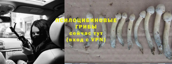 прущая мука Бугульма