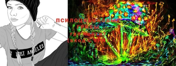 гашик Верхнеуральск
