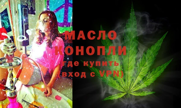 гашик Бородино