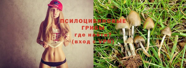 гашик Бородино