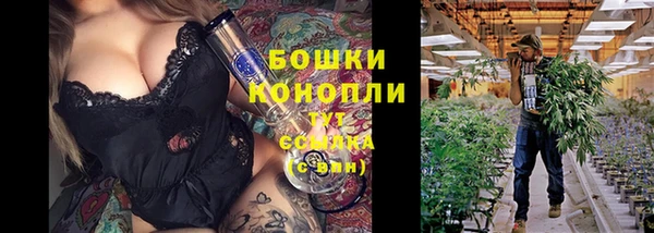 spice Бронницы