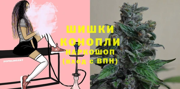spice Бронницы