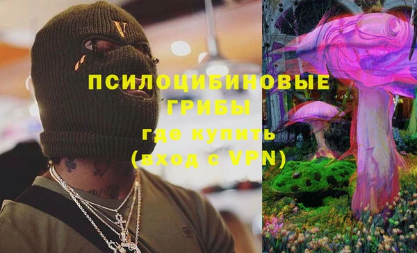 гашик Бородино
