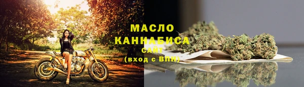 гашик Бородино